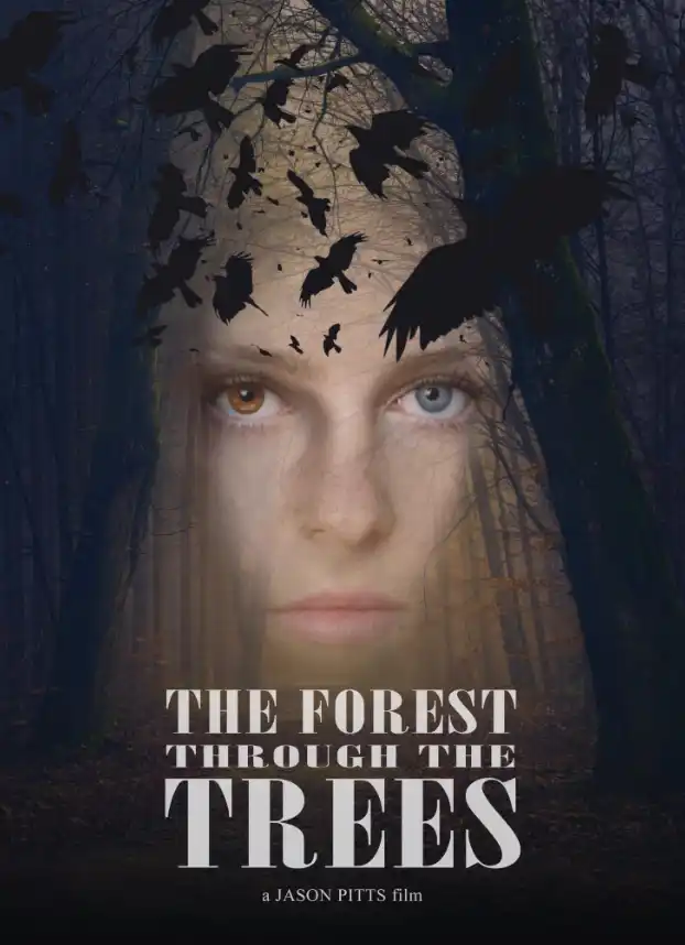 За деревьями леса не видно 2025